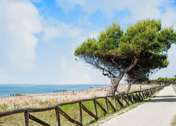 Quiet With Terrace アパート *