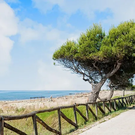 Quiet With Terrace Apartamento *